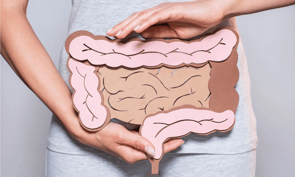 Colon limpio y digestión eficiente